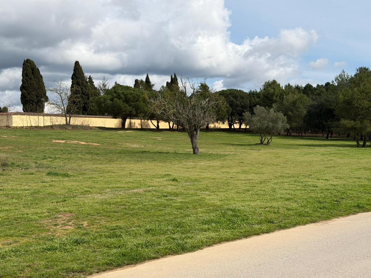 El solar on es preveu construir la nova residència.
