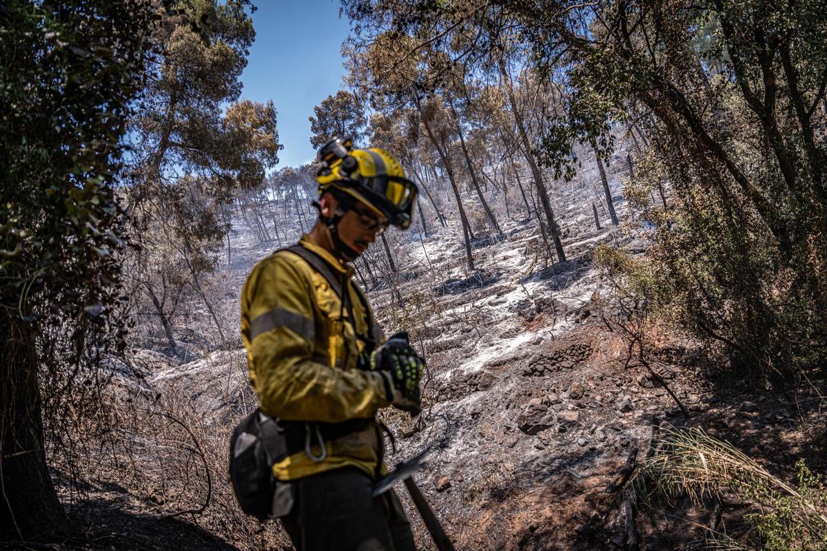 Columna de humo visible durante el incendio forestal de Sentmenat, cuyo avance ha movilizado un amplio dispositivo de emergencias