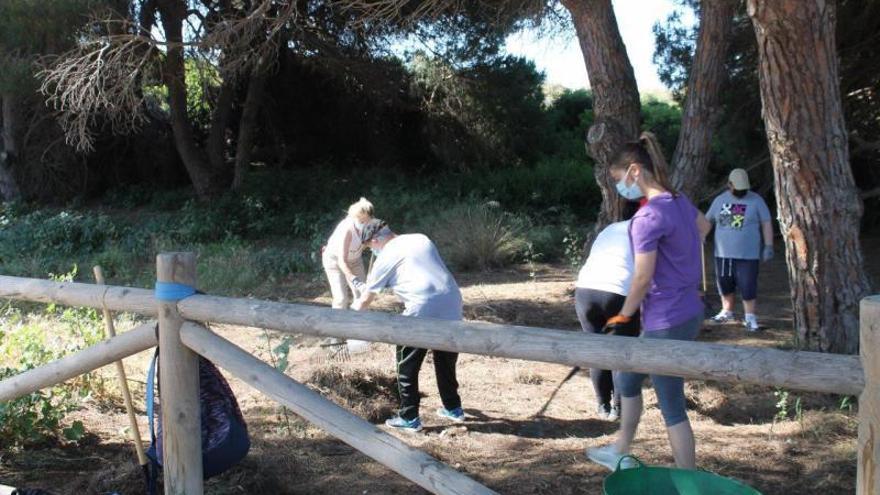 Voluntarios de ProDunas trabajan en una duna de Las Chapas.