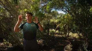 160 especies autóctonas y 3.000 metros cuadrados: el jardín botánico de San Lázaro, en La Laguna