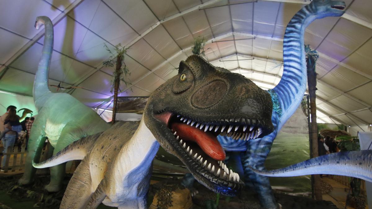 Dinosaurs Tour en Córdoba en 2021.