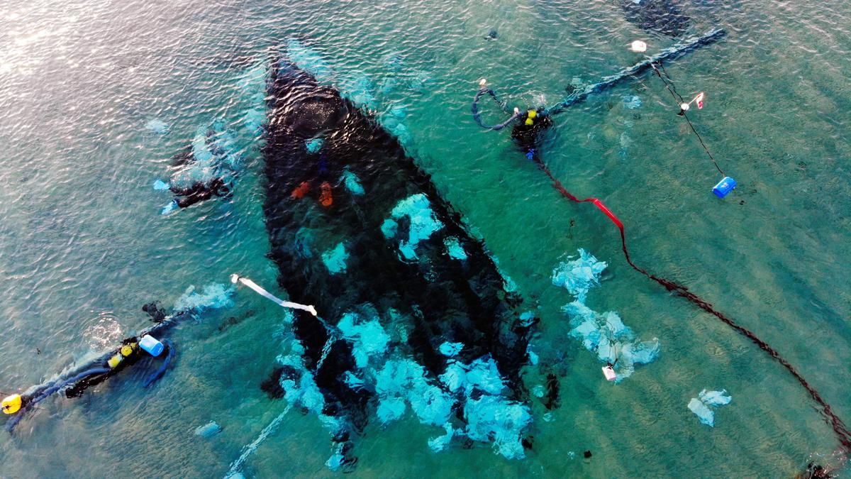 Hallan un barco de más de 1.200 años hundido en Tierra Santa.