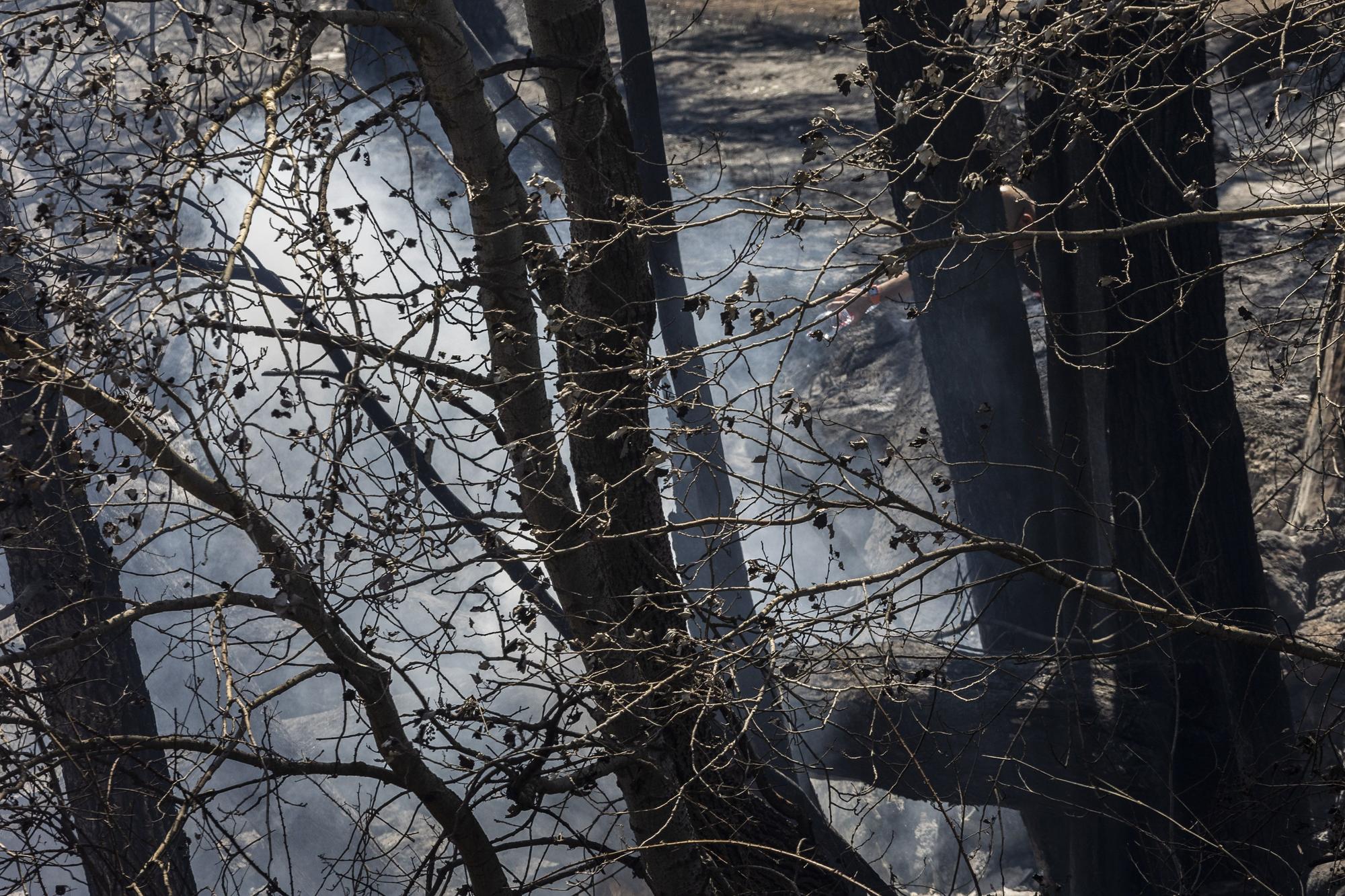 El incendio de Bejís, en imágenes