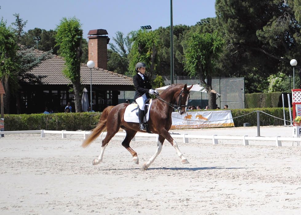 Marta Esteve, amazona de Puçol que ha ganado diversos campeonatos autonómicos.