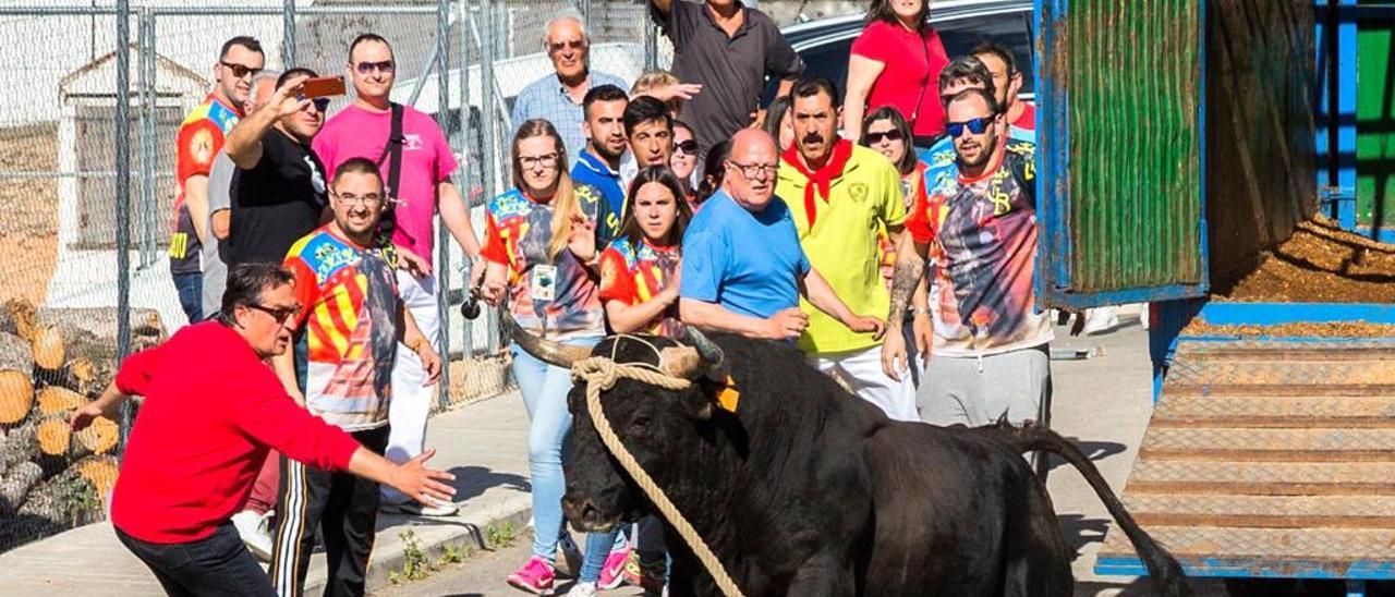 Las mejores ganaderías se citan en Bétera