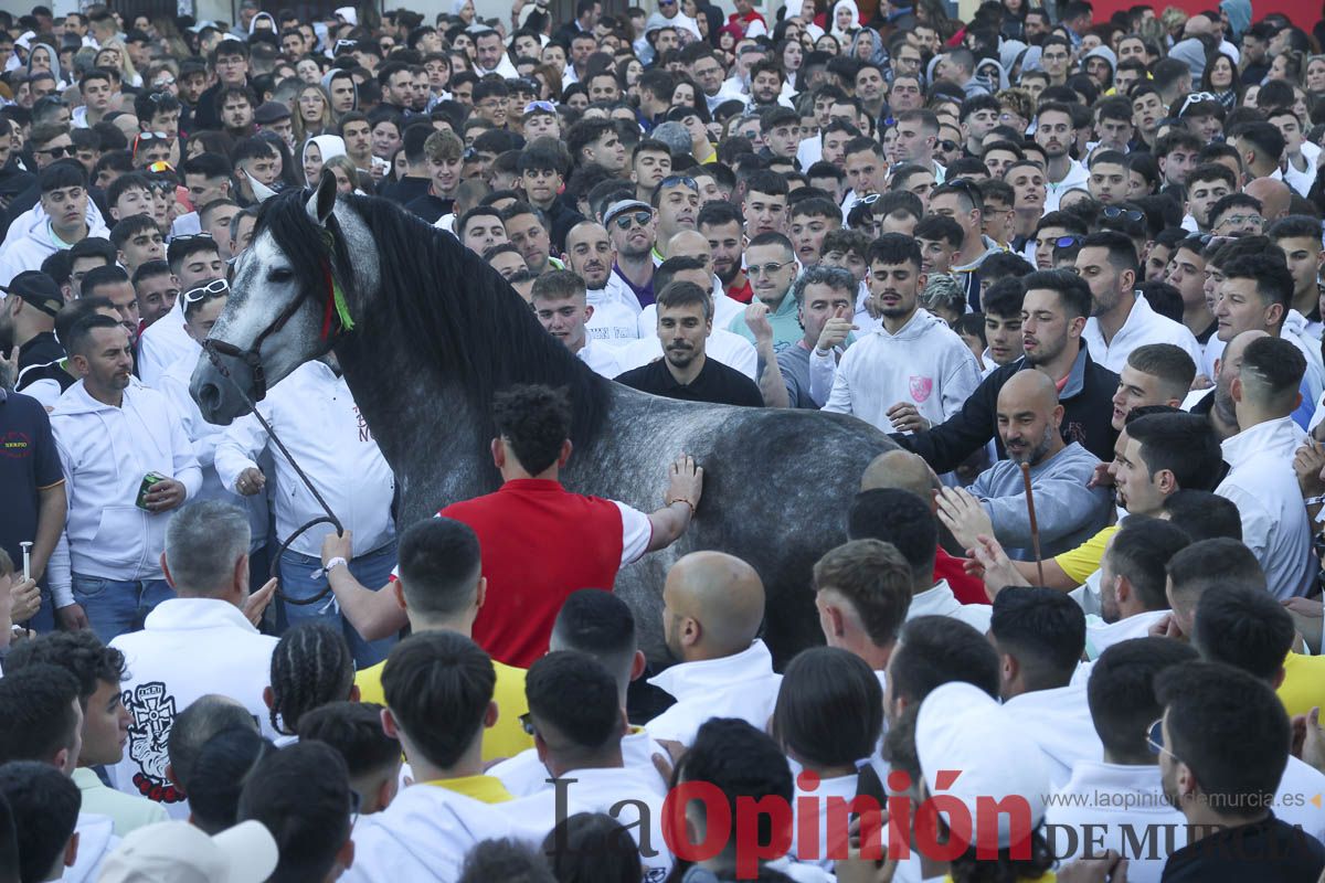 Entrega de premios del concurso de 'Caballo a pelo' en Caravaca