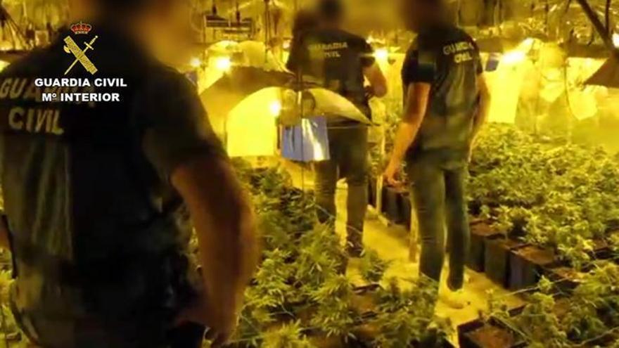 Cae un grupo de tráfico y cultivo de marihuana que operaba en Málaga, Córdoba y Sevilla