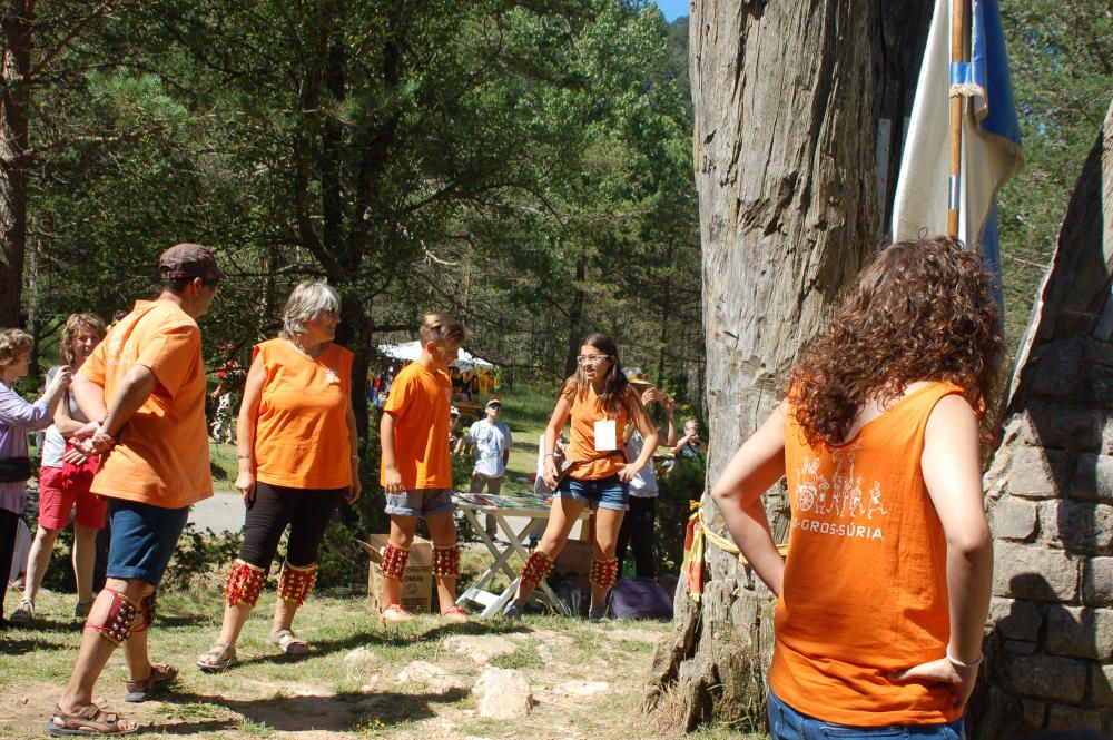 Aplec del Pi de les Tres Branques