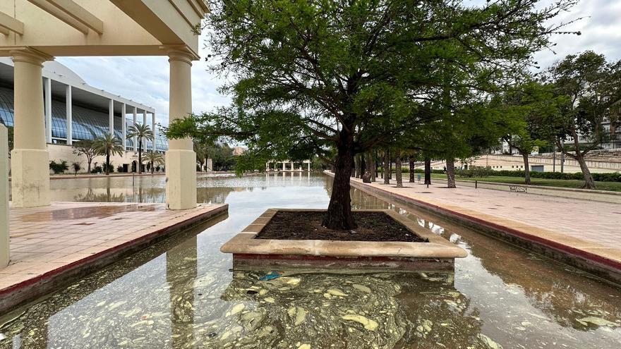 Agua sucia y pintura levantada en el estanque del Palau de la Música