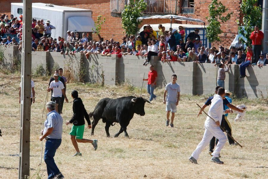 Encierro Guarrate