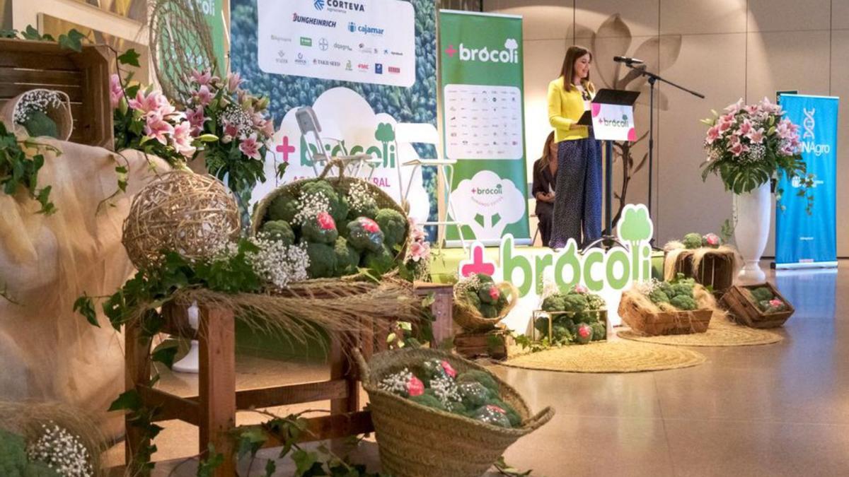 Asamblea anual de +Brócoli, celebrada el pasado mes de junio en Torre Pacheco.  | FECOAM
