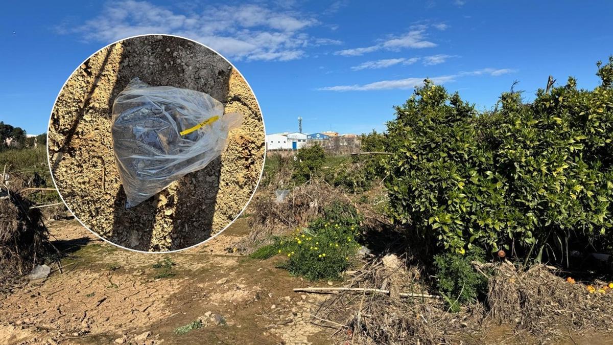 Imagen del muestreo en los campos de cultivo afectados por la dana