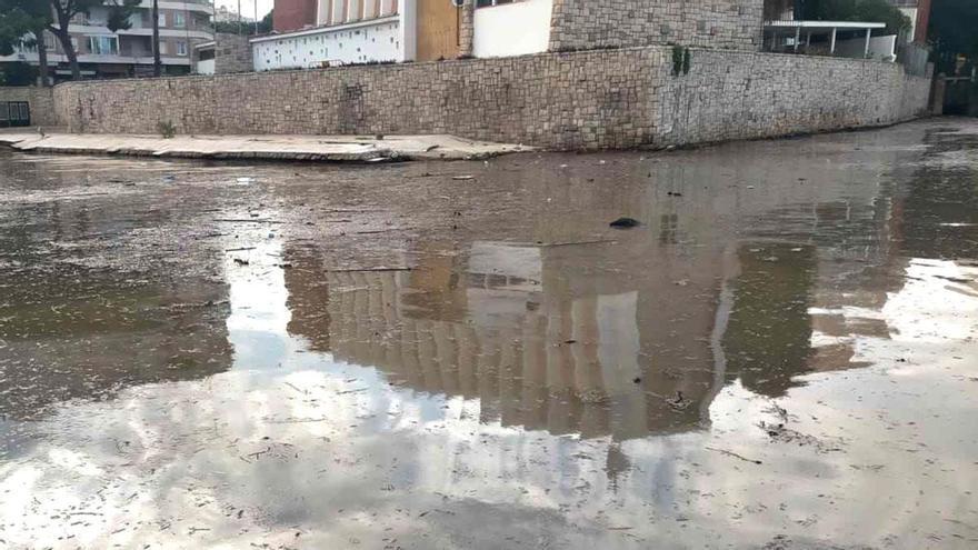 Las toallitas del váter impiden faenar a varias barcas de pesca de Gandia