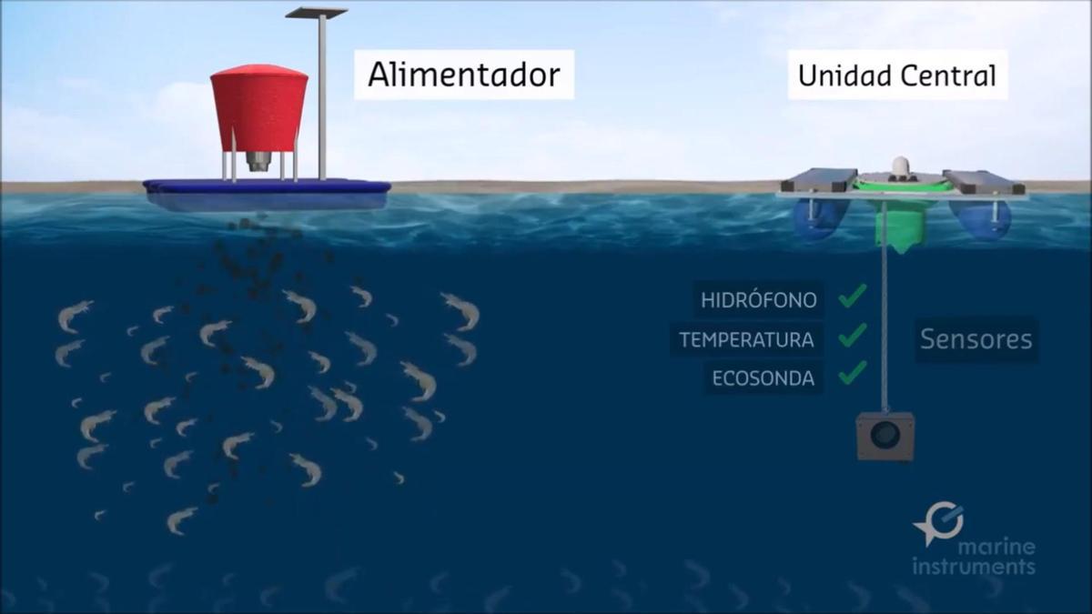 Gráfico del funcionamiento del MASS de Marine Instruments