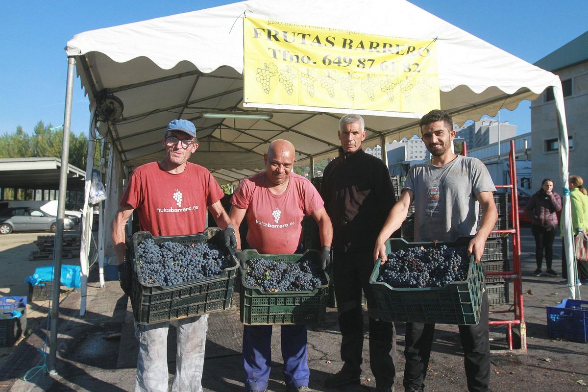 “Traemos variedades foráneas que dan un ‘empujón’ de grados a los vinos