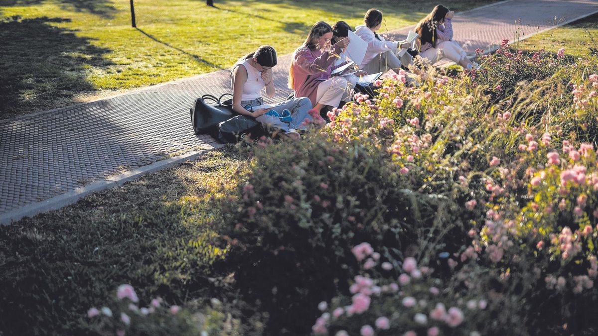 Varios estudiantes en el campus de la Universidad Autónoma de Madrid.