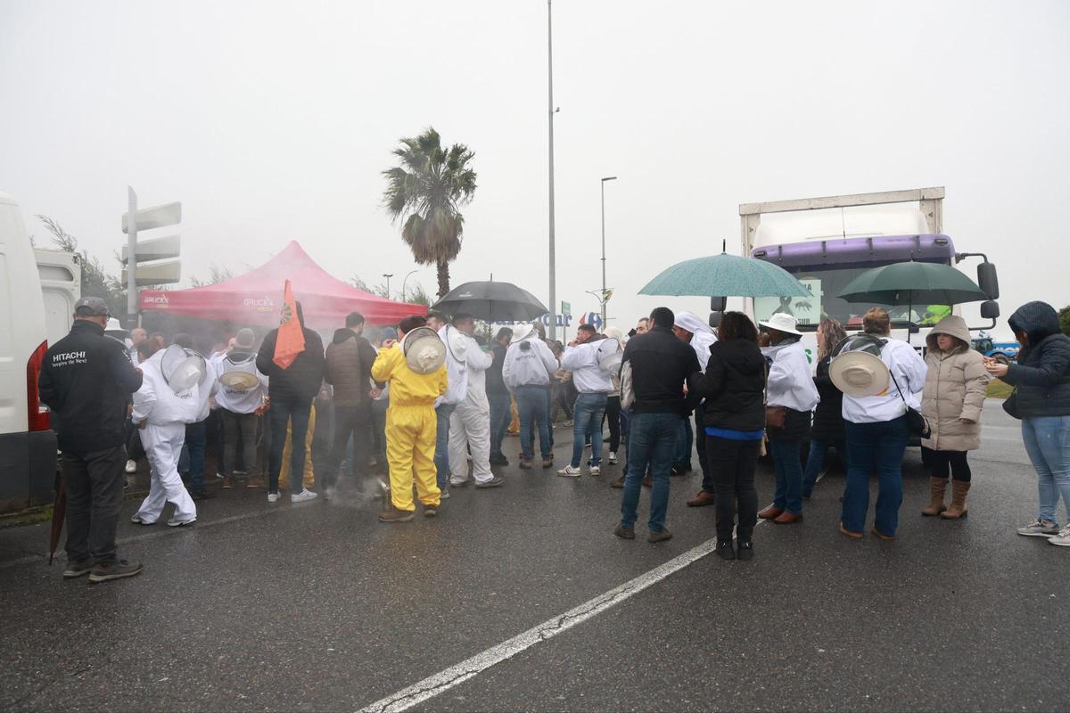Fotogalería | Imágenes de la tractorada en Cáceres, este miércoles