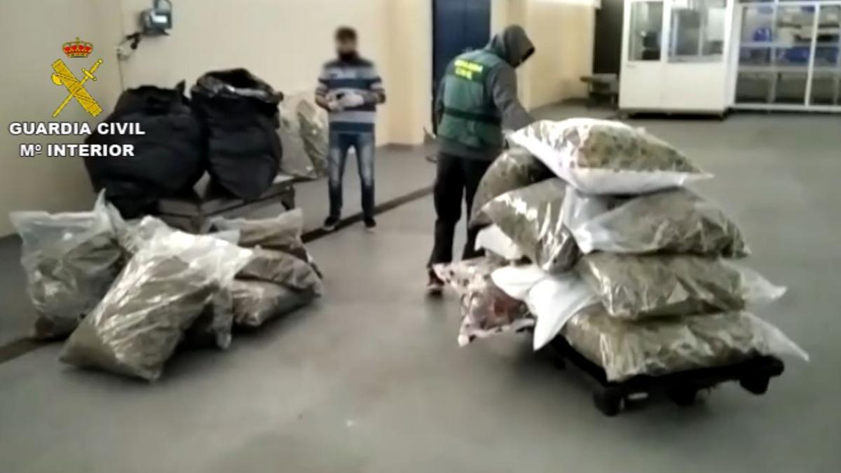 Dos agentes pesan la marihuana intervenida.