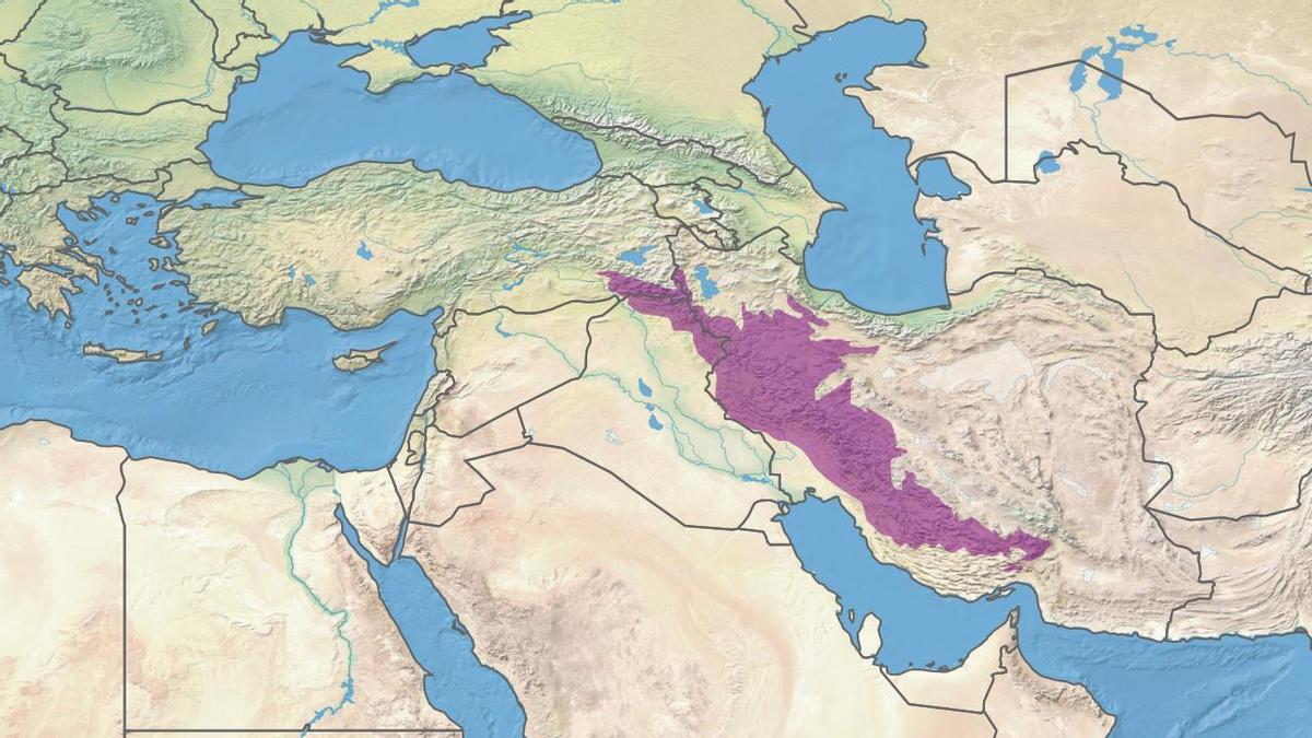 La Meseta Persa  se encuentra al este de las montañas Zagros (que se muestran en rosa violeta).
