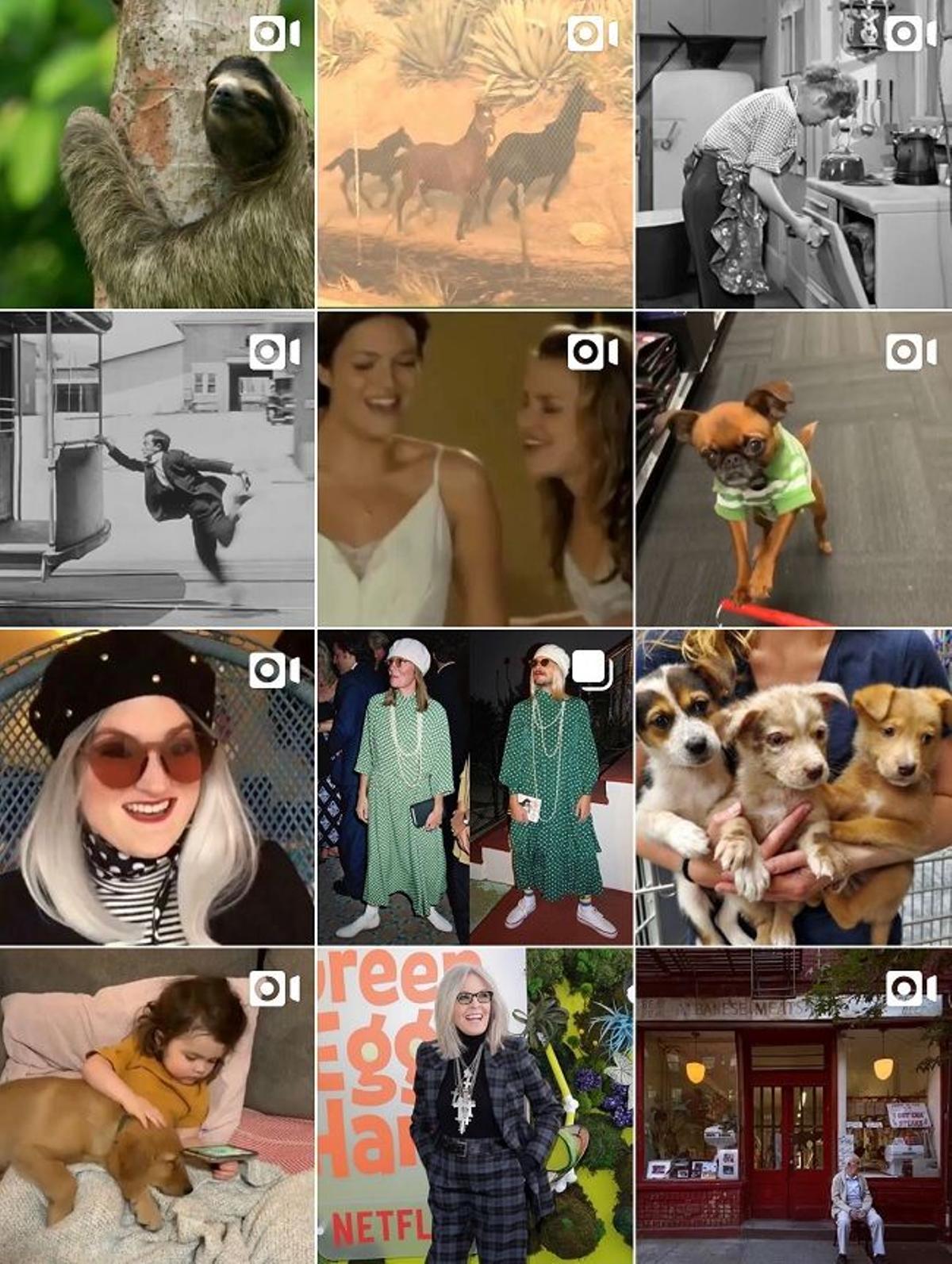 Feed del instagram personal de Diane Keaton.