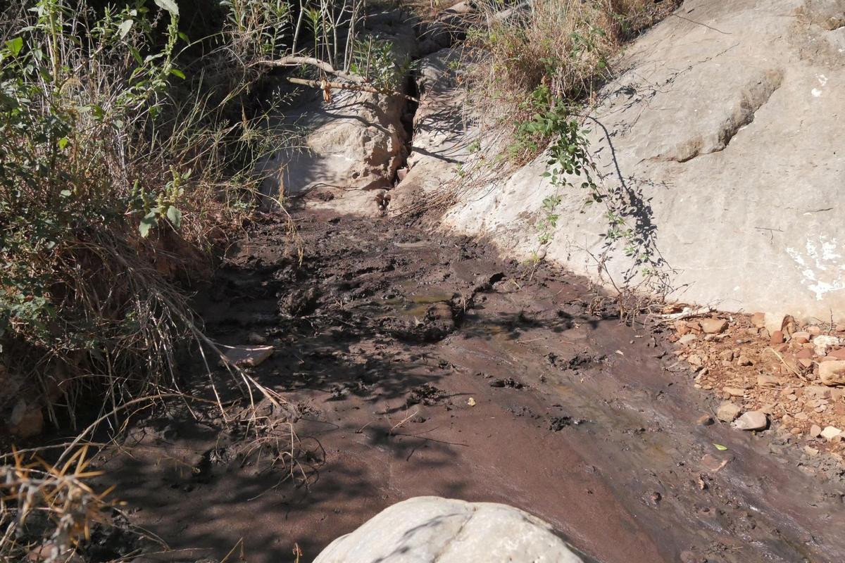 El escenario de uno de los mayores vertidos de purines: un desastre medioambiental