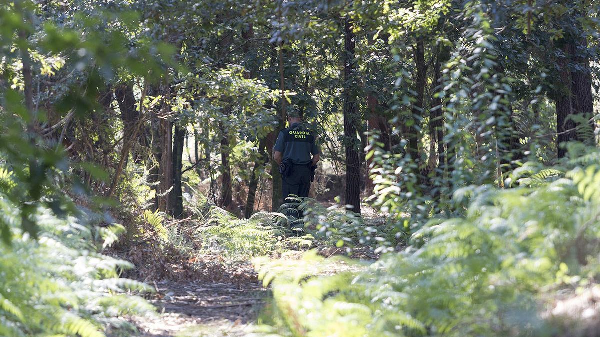 Un agente de la guardia civil en la pista forestal del lugar de Feros, en la parroquia de Cacheiras (Teo) donde apareció muerta la niña Asunta Basterra