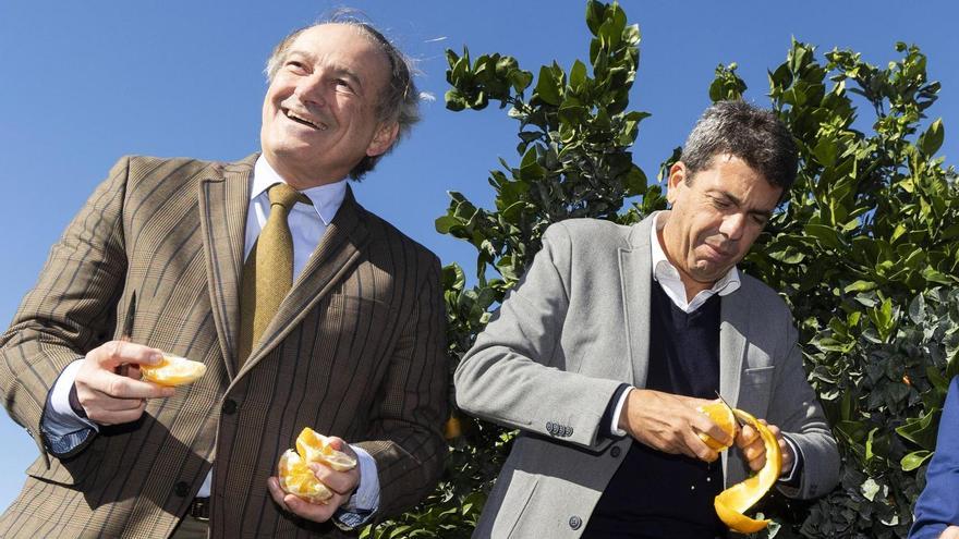 José Luis Aguirre, Carlos Mazón y José Barrés, este mediodía