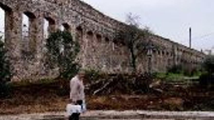 Arrancan casi todos los árboles del parque de Santa Catalina