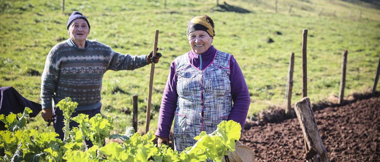 José Ramón Alonso y su mujer, María García López, palotiando un terreno a la entrada de Yernes.