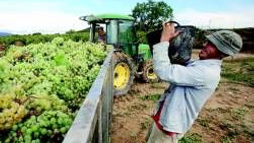 Yo, de mayor, quiero ser agricultor