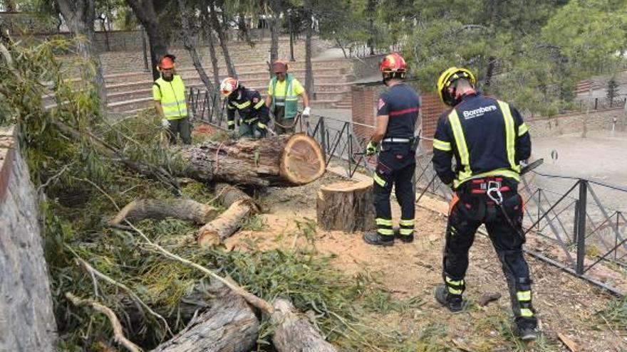 Talan un árbol por riesgo de caída en el parque de  Fernández Ordóñez