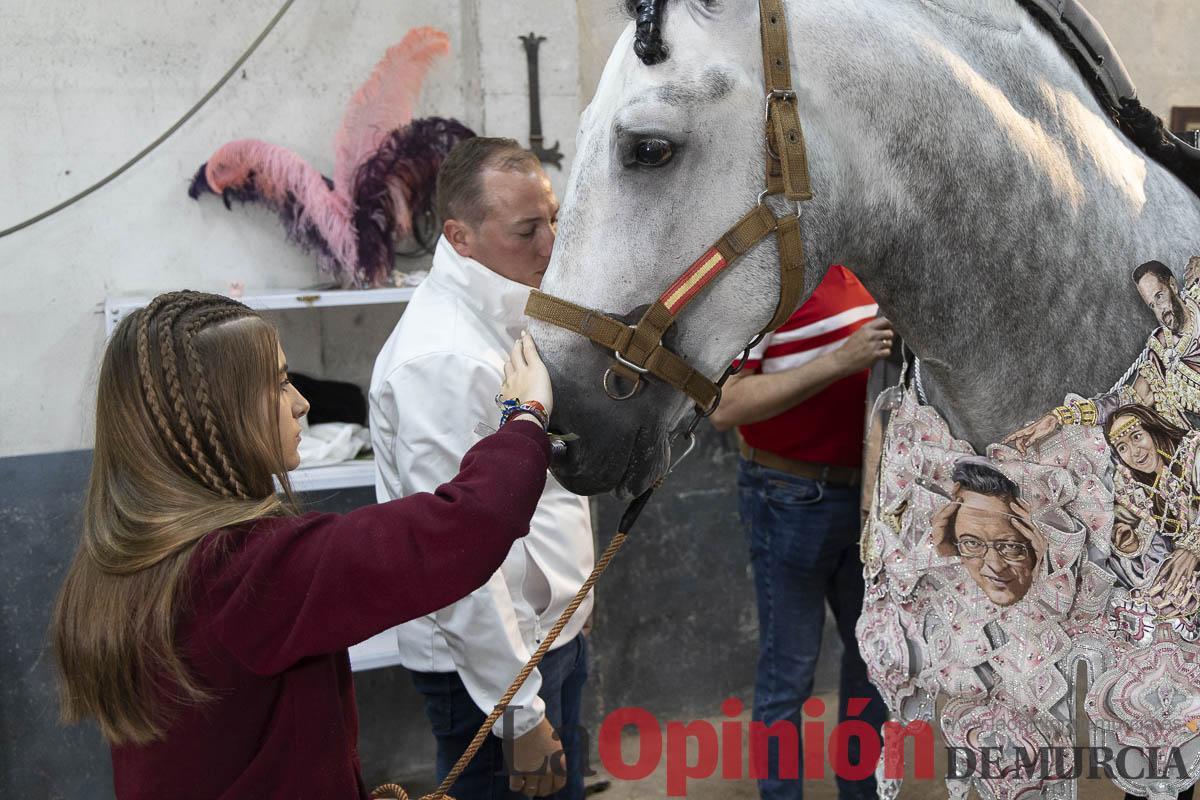Caballos del vino/Vestir a un caballo_008