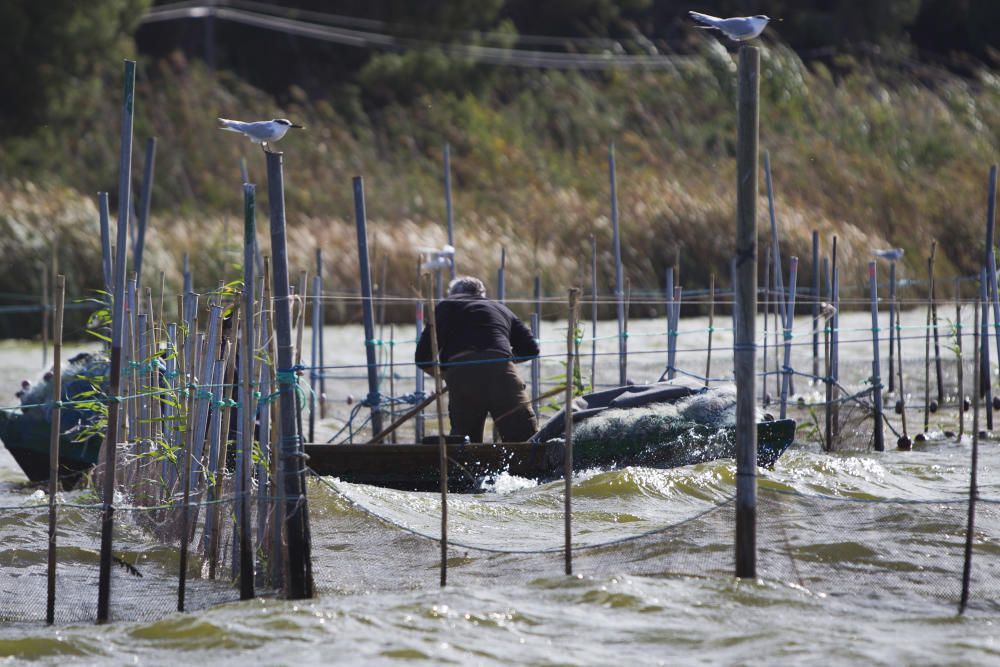 Acto de declaración BIC de la pesca artesanal y la vela latina