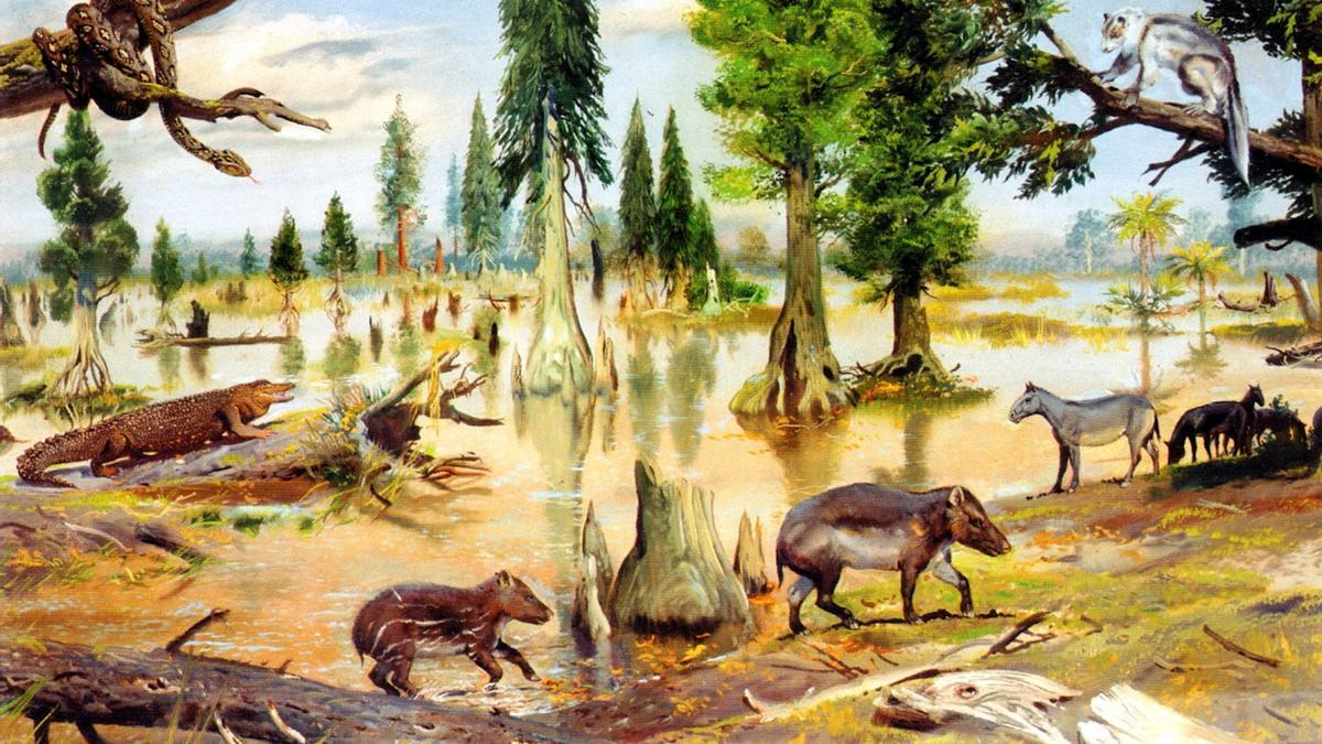 Fauna del eoceno, cuando la Tierra sufrió un cambio climático como el actual