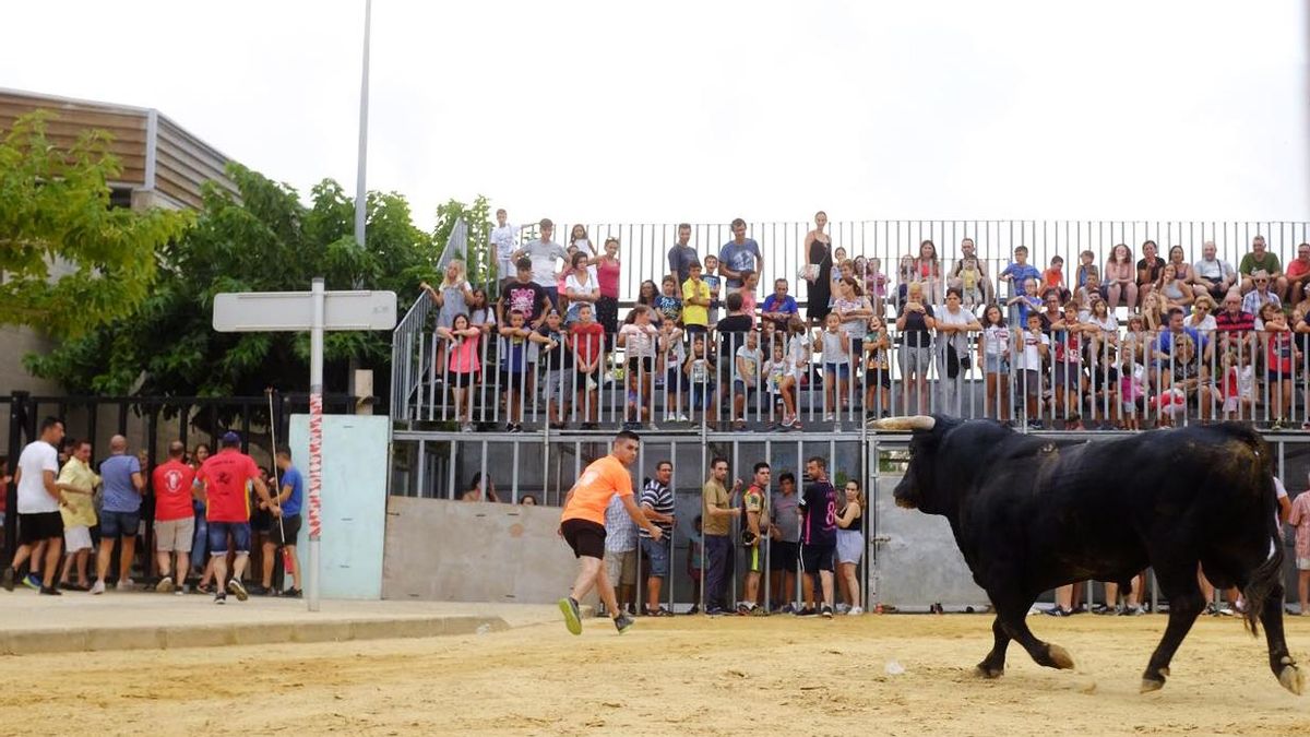 Los actos taurinos forman parte de la programación de las fiestas de Sant Roc de la playa de Nules.