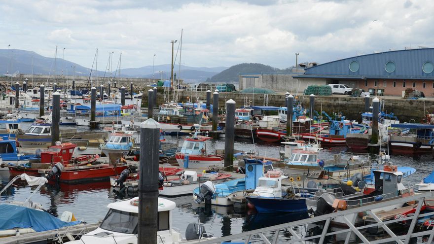 Galicia arranca el año con 5.458 barcos de pesca, marisqueo y acuicultura