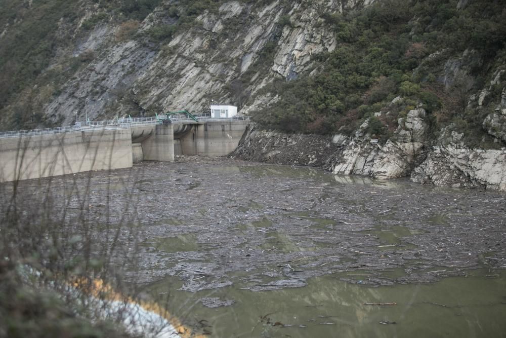 Acumulación de ramas y troncos en el embalse de Soto de la Barca.