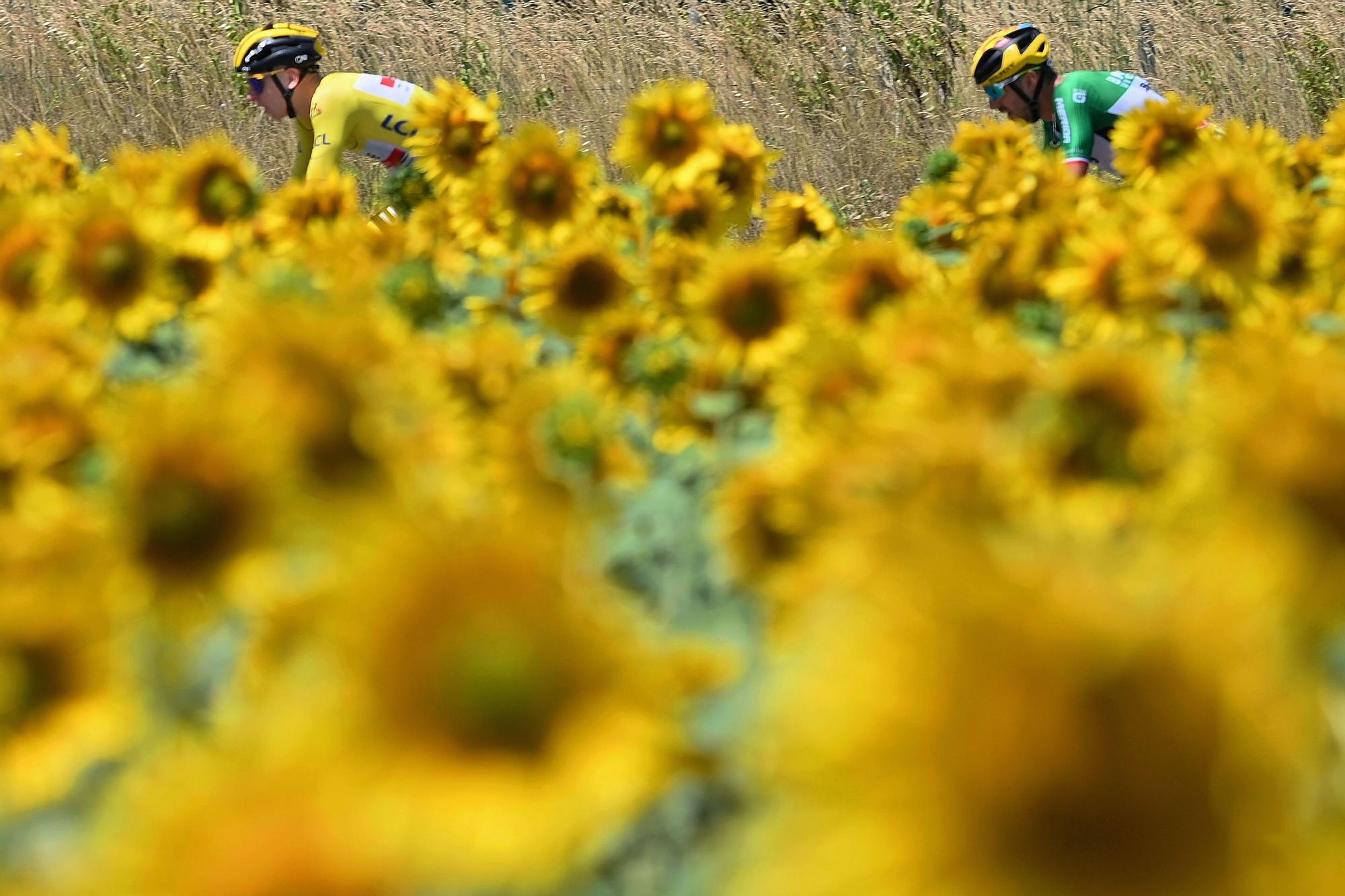 Tour de Francia | Etapa 13: Nimes - Carcassone