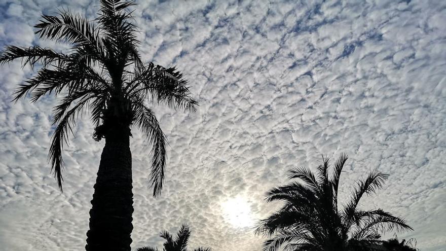 Cielo empedrado, suelo mojado