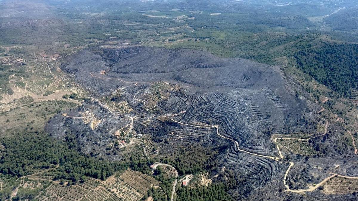 Imagen de la zona arrasada por el incendio.