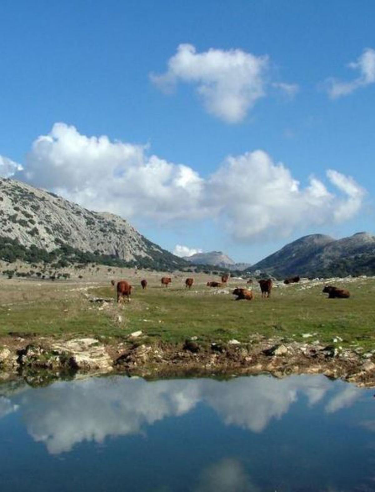 Desembocadura del río Guadalhorce