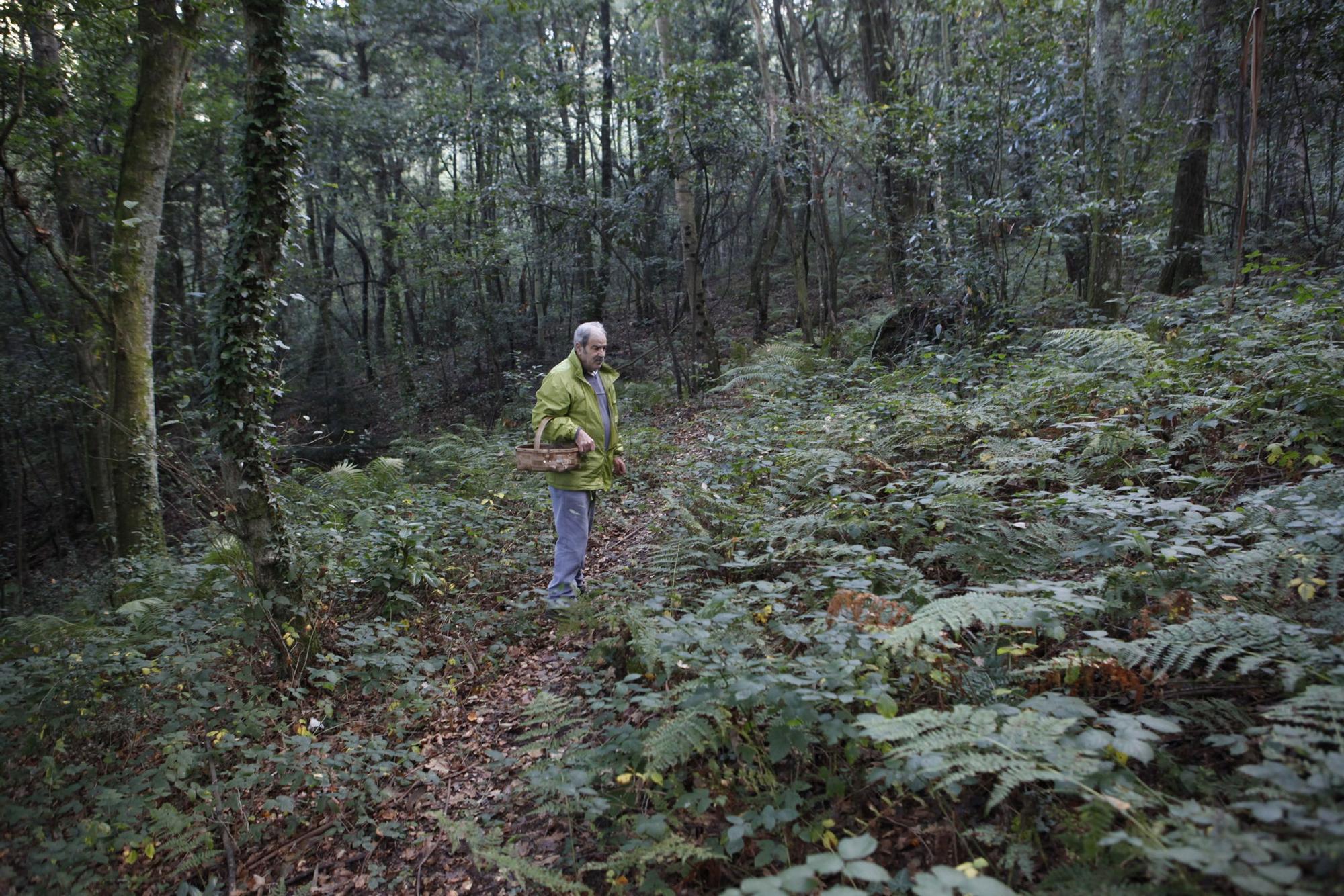 Las 100 fotos que demuestran que el otoño es la mejor época para conocer Asturias