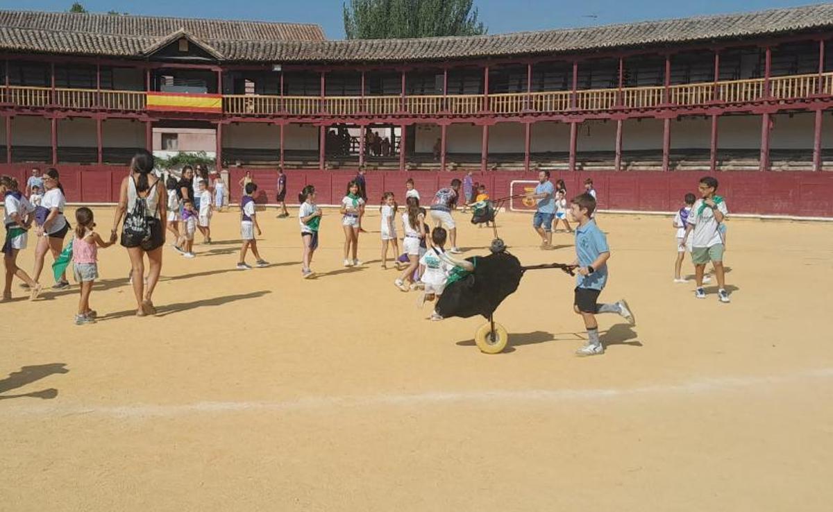 Encierro ecológico en Toro.
