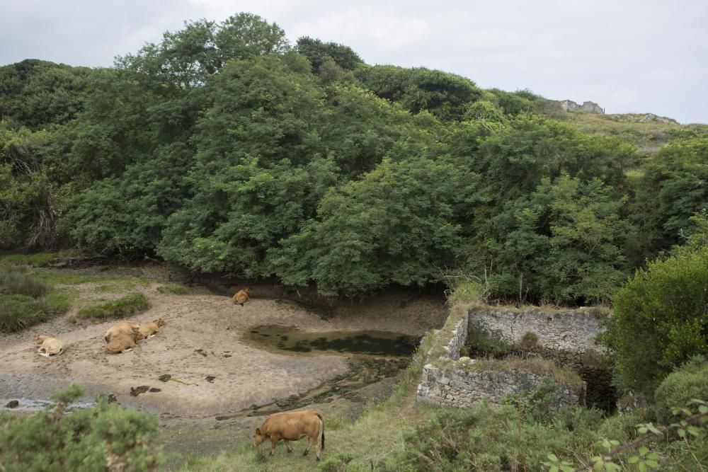 Rutas por Asturias: costa de Llanes y Cobijeru