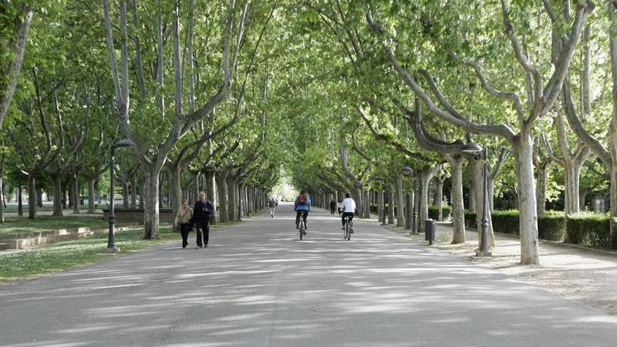 Árboles y jardines disminuyen la isla de calor de las ciudades