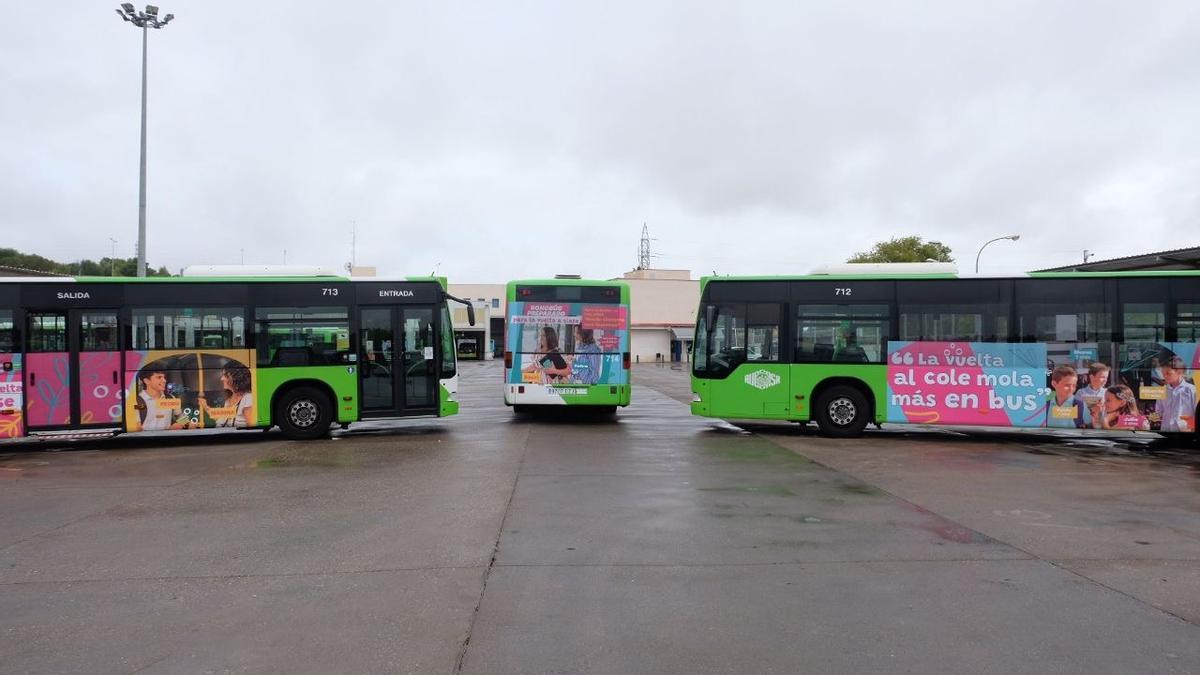 Aucorsa apuesta por el transporte público para estudiantes