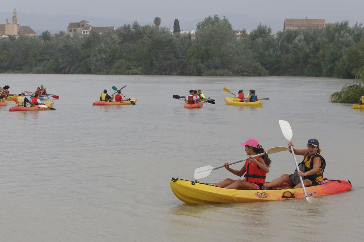 Ruta del Caimán por el río Guadalquivir