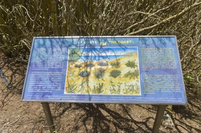 Accesibilidad en el Jardín Canario