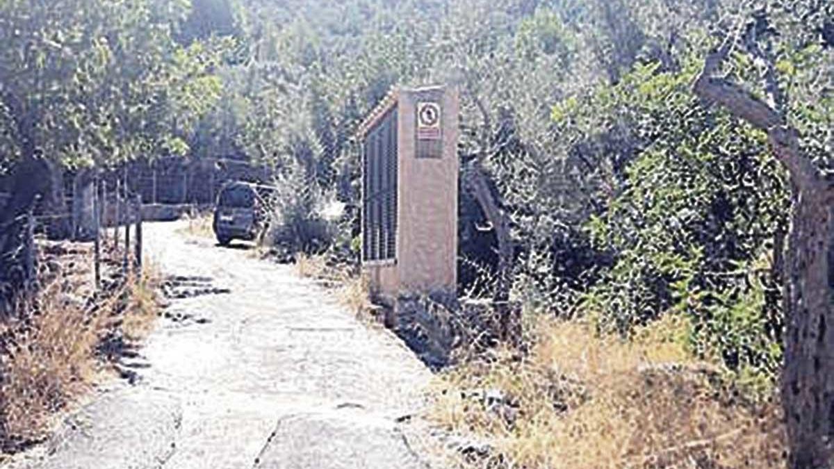 Camino rural de Sóller.