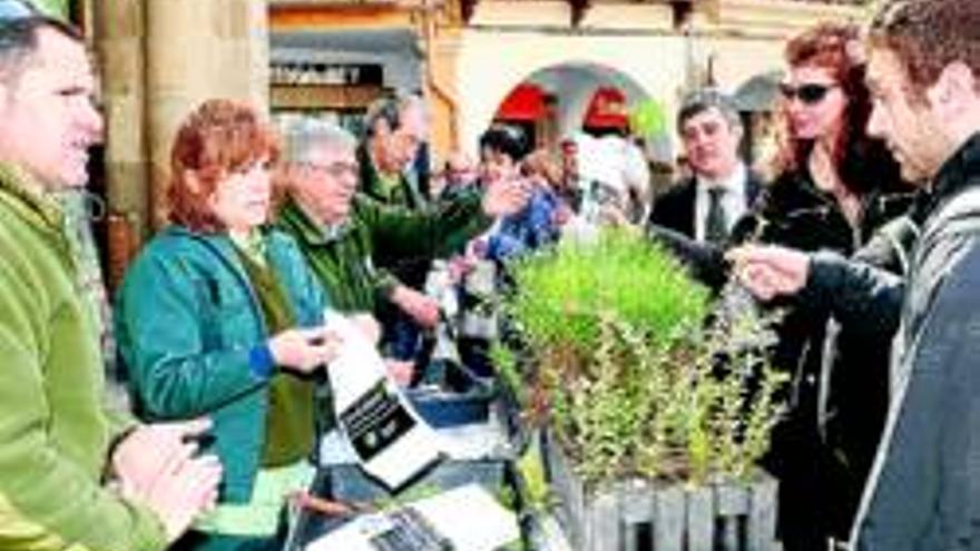 Arboles y dehesa en el Día Forestal